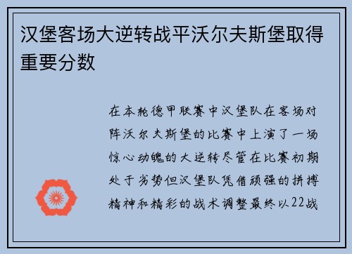 汉堡客场大逆转战平沃尔夫斯堡取得重要分数